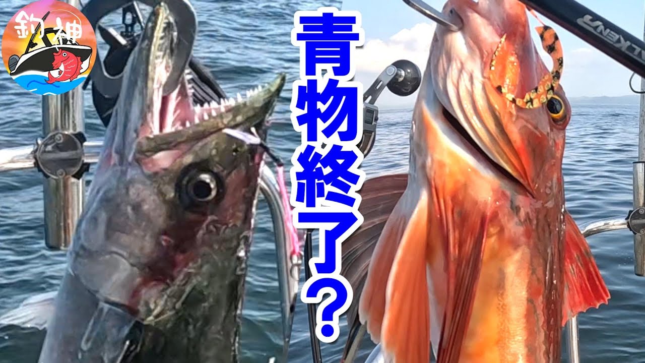 Tokyo Bay] I was investigating bluefish on my boat and found