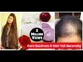 Home Remedy For Baldness & Hair Regrowth|ONION JUICE & Black Pepper Corn for Hair|Sushmita's Diaries
