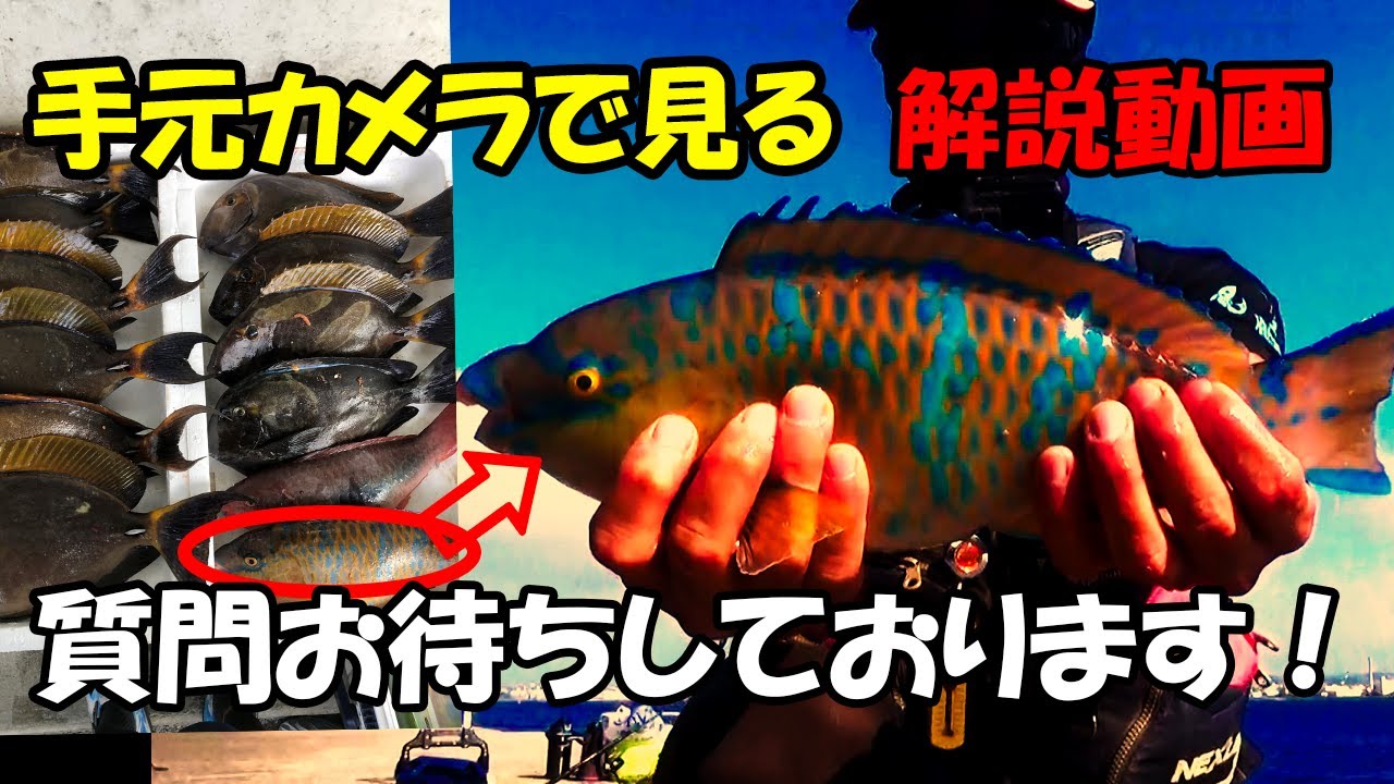 那覇一文字新堤第6弾　パート３　鱗海スペシャル08号　チヌ竿でフカセ釣り！