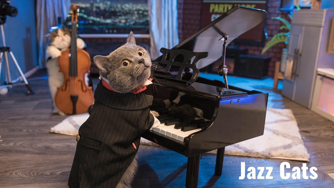 Jazz Cats - Thanks for watching the stream today! Next one is on Saturday.