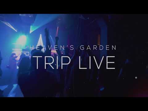 TRIP LIVE - Június 13. 17h #zene #kultúra #újdonságok