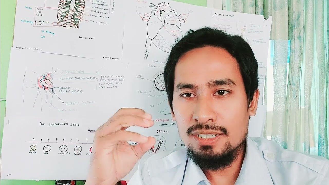 makanan untuk menyehatkan kembali otak | Pfc