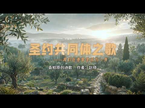 赵晓的经济学视界- YouTube