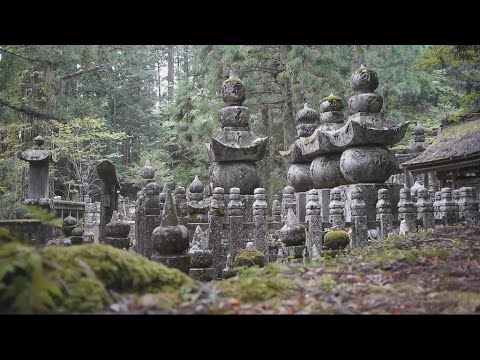 Why Japan's oldest cemetery is becoming a tourist attraction