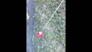 Котёнок возвращается домой. cat returns home Котёнок возвращается домой. cat returns home