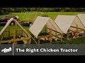 Best Chicken Tractor For You - PPP#1 S2:E3