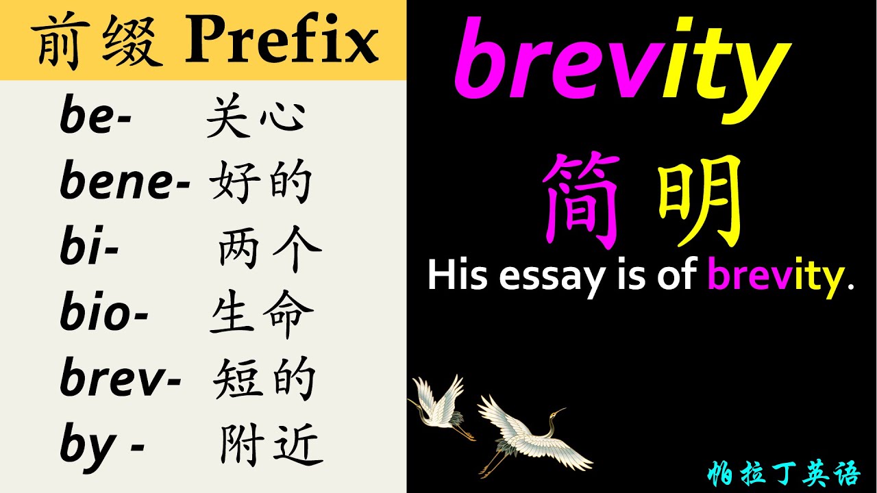 初学者必会 | 英文常用前缀 | b- | 单词分析 | 词句领读 | 基础英语入门