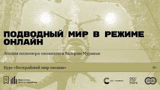 «Подводный мир в режиме онлайн». Лекция инженера-океанолога Валерии Муравьи