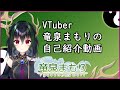 【VTuber】ボイチェン勢VTuber竜泉まもりの自己紹介動画【初めましてのご挨拶】