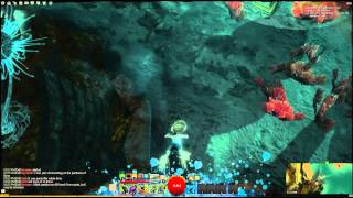 Guild Wars 2: Drunk Diving