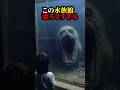 恐怖 この水族館 恐ろしすぎる 面白い ホラー 水族館