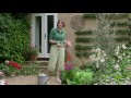 How to encourage urban wildlife in your garden | Grow at Home | Royal Horticultural Society
