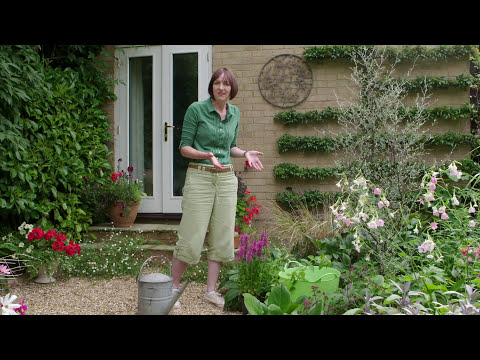 How to encourage urban wildlife in your garden | Grow at Home | Royal Horticultural Society