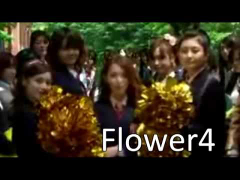Girls Over Flowers [fanfic trailer]