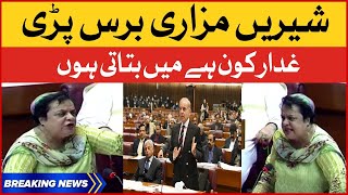 Shireen Mazari Speech in National Assembly | No Confidence Motion Voting | Breaking News