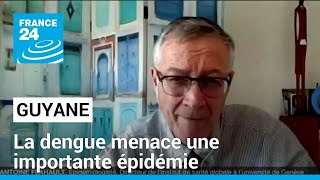 La Dengue menace : importante épidémie en Guyane • FRANCE 24