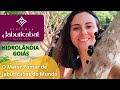 Esta é a Vinícola da FAZENDA JABUTICABAL em Goiás