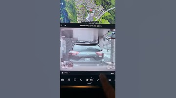 Using Tesla Viewer in 2020.12.5