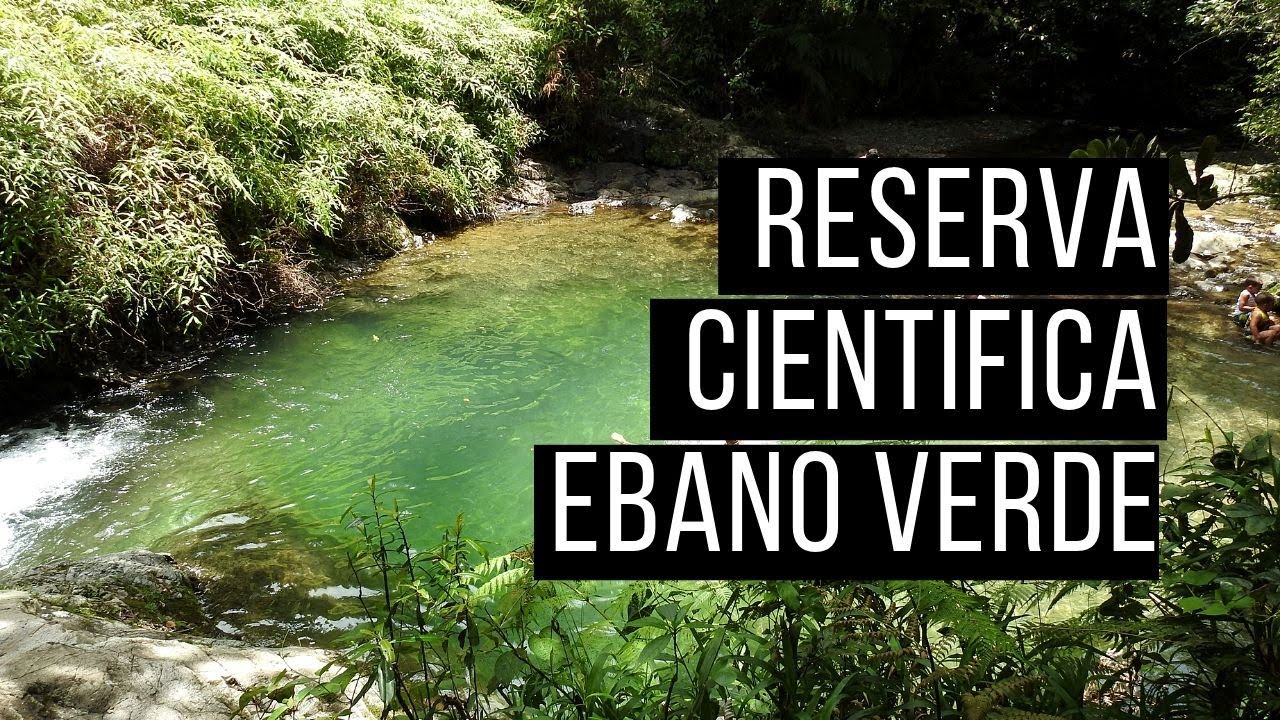 🎋Bienvenidos a la Reserva Cientifica Ebano Verde, EL ARROYAZO, Constanza Republica Dominicana.🎏