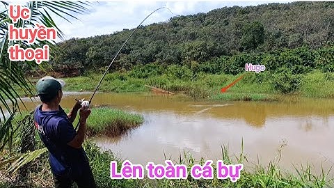 Câu cá lóc_Hành trình săn hàng Hugo (p41)@Hữunghị tv