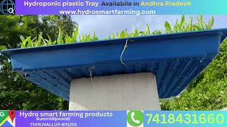 Goat farm hydroponic plastic tray | cattle farm hydroponic plastic tray # green fodder system 
