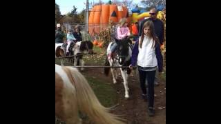 Horsey ride Horsey ride