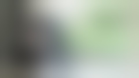 System Vision : Femtosecond laser assisted cataract surgery with FEMTO LDV Z8