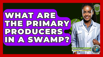What Are The Primary Producers In A Swamp? - Earth Science Answers