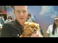 FREE PUPPIES! - Australian Premiere of the Secret Life of Pets