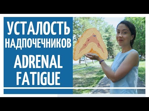 Усталость надпочечников  adrenal fatigue