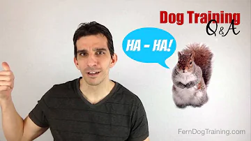 Will my dog keep squirrels away?