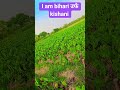 am bihari उर्फ kishani #bhojpurinewsong #@कुमारViratKumar-ht8xb #vitalshorts #trendingshortsvidio #