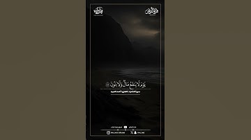 ماتيسر من سورة الشعراء | القارئ : أحمد العبيد
