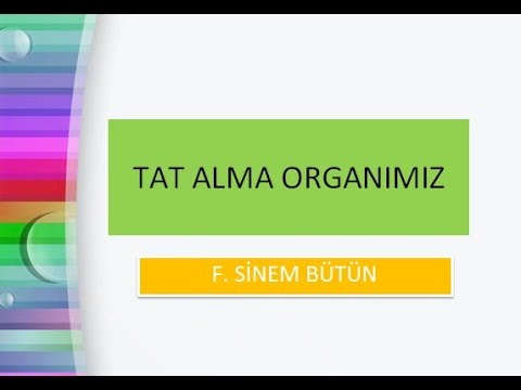 Tat Alma Duyumuz Dil ve Görevleri Tat Alma Duyumuz Dil ve Görevleri