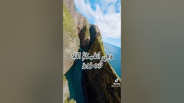 تلاوة خاشعة من سورة الذاريات - الشيخ سعود الشريم