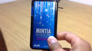 MINTIA BREEZE 食レポ