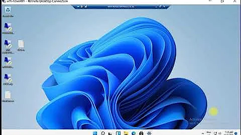 Windows Server 2022 - RDS / VDI