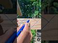 trick to determine the 30 degree point on a semicircle. #carpentry #woodjoinery #woodworktips #diy