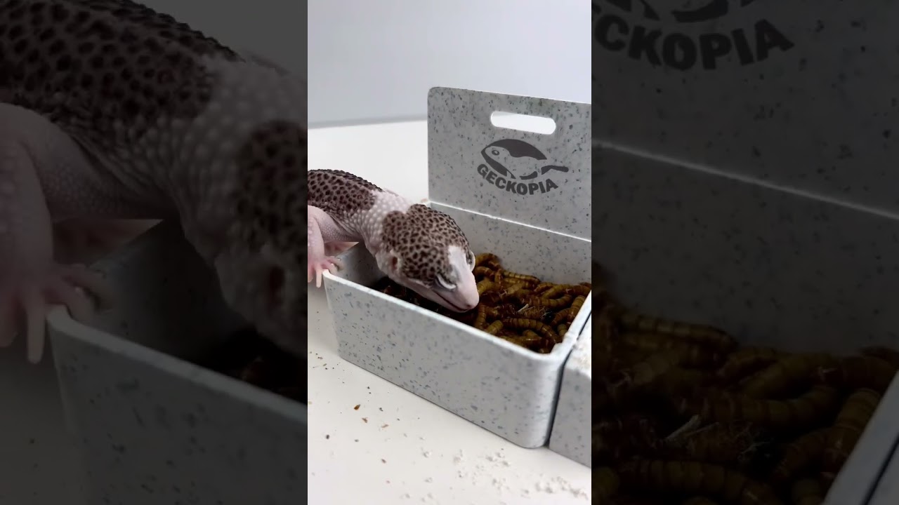 Tired, but I’m hungry 🤤