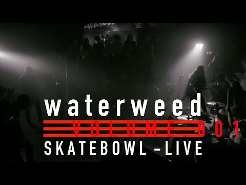 Waterweed   01Only for us   02Monologue Live Video