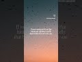 FREE guide, "The Rod Verses In Context" at www.payhip.com/TheRodReconsidered