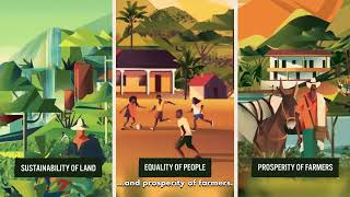 JDE Peet's - Responsible Sourcing Explanimation