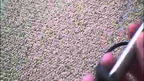 How to make an  Xbox 360 rapid fire mod part1