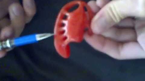 Anatomy of the Basal Ganglia (Model)