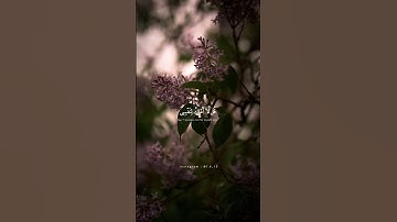 #quran #reels #f6_15 القارئ عبد الرحمن مسعد ـ أكتب شيء تؤجر عليه