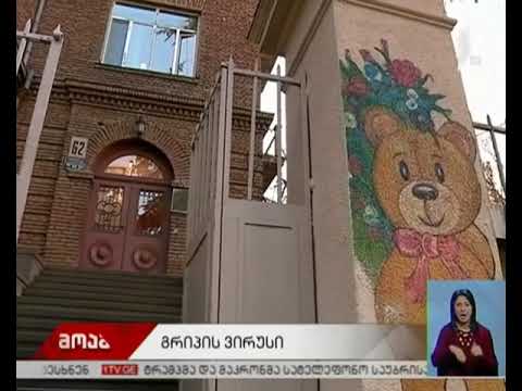 გადაიდება თუ არა სასწავლო პროცესი გრიპის ვირუსის გამო