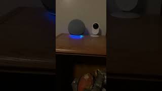 Echo dot 4th generation, Echo Flex, and Echo 4th Generation are not connected to the internet