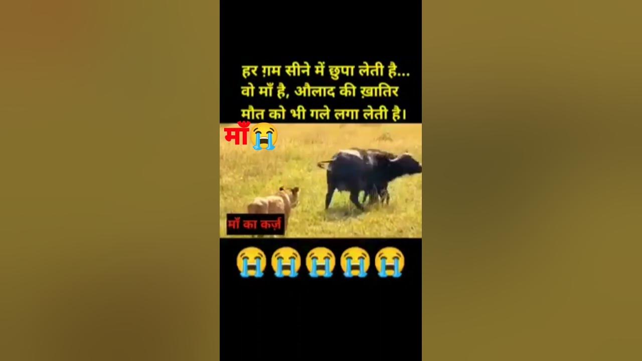 maa-ka-karz-kabhi-nhi-chuka-sakte-maa-maa-shorts-video-viral