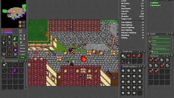 🎶 Slow Drive & Vibes | Tibia 8.0 Chill Gameplay Mix