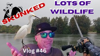 #Vlog 46 No Fish, but an eventful day with lots of wildlife in canaveral national seashore haulover